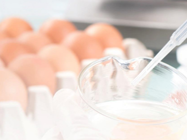 【蛋】食品中兽药最大残留限量整理及快速检测方案