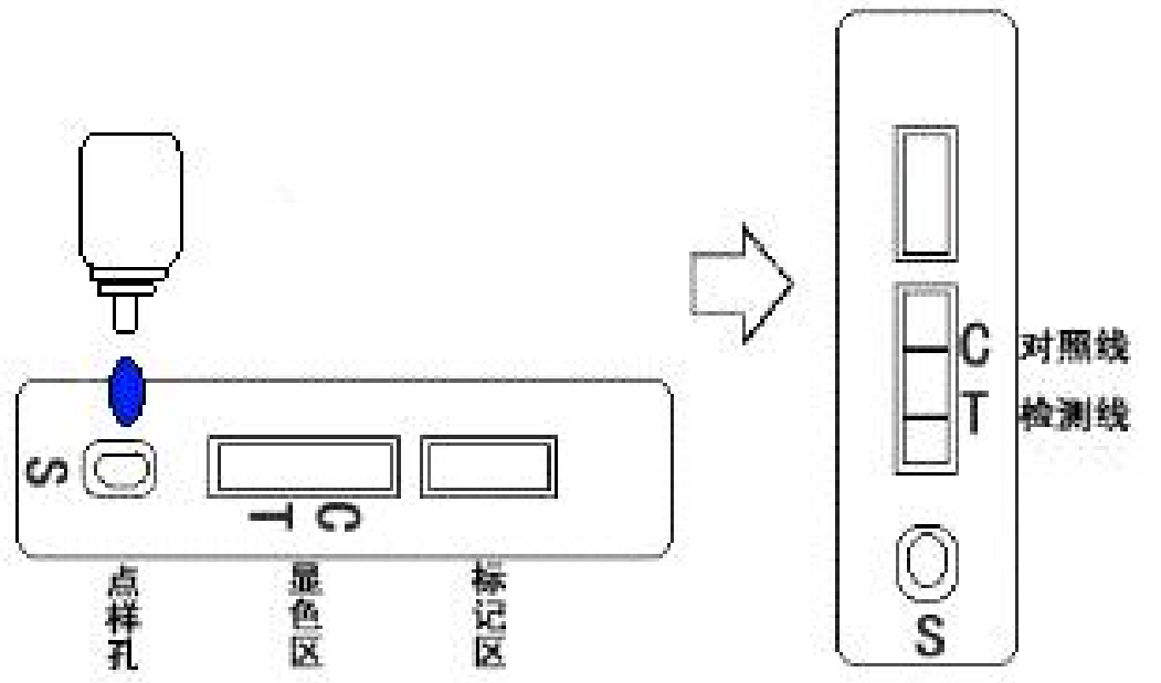 6a61ae5be4e5d.png 6a61ae5be4e5d.png