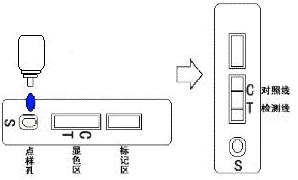 6a61af447bbf3.png