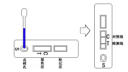 6a68015eb320d.png