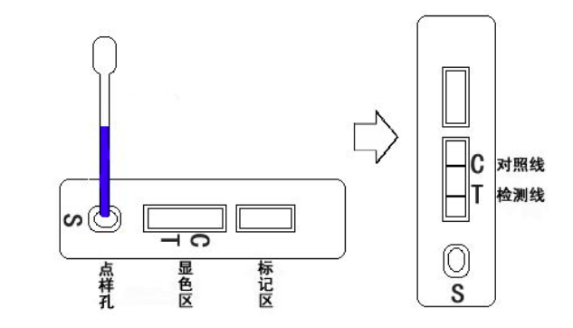 6a68437b3372e.png