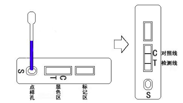 6a6867a3966ea.png